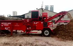 珠海市 臺風災后清理