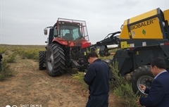 2019年，內蒙奈吉牧草有限公司，采購一臺Anderson檸條平茬機